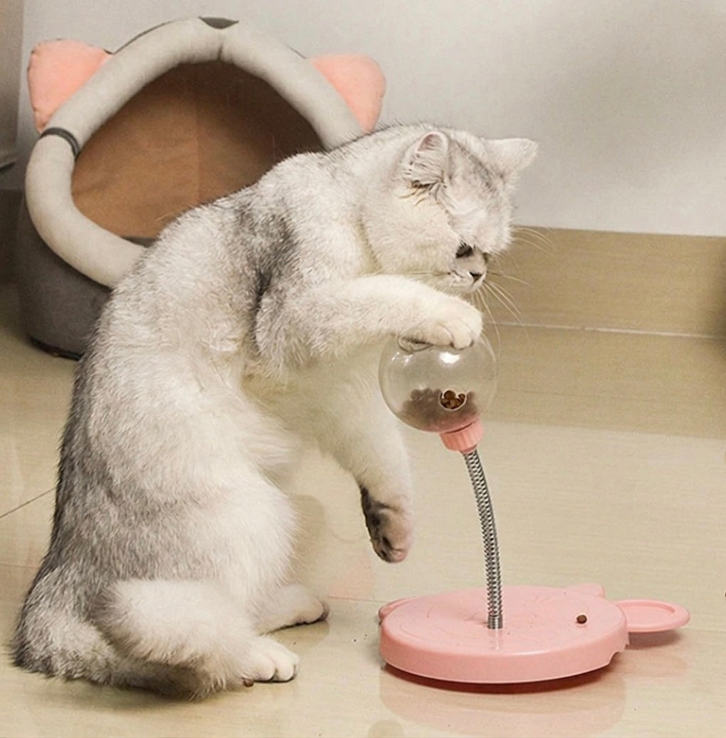 Action Foraging Toy