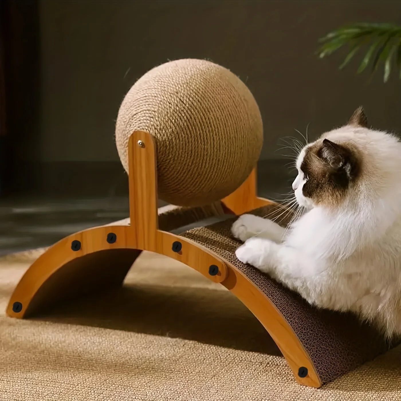 Premium Cat Scratching Ball
